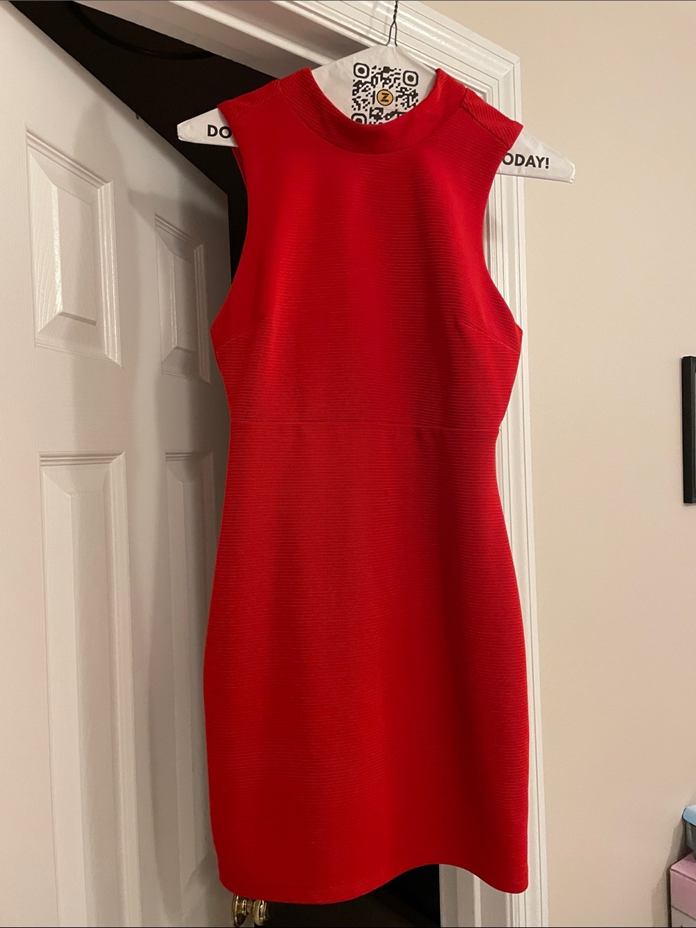 Forever 21 Red Sleeveless Mini Dress